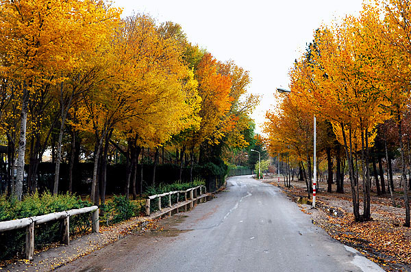 بهترین پارک های عکاسی اصفهان